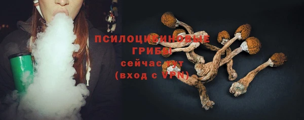 apvp Абаза