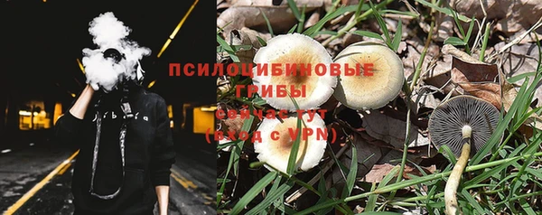 прущие крисы Абинск