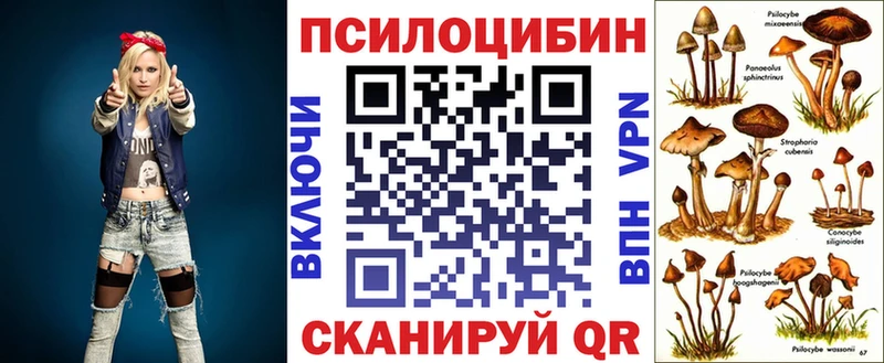 Галлюциногенные грибы ЛСД  Шахунья 